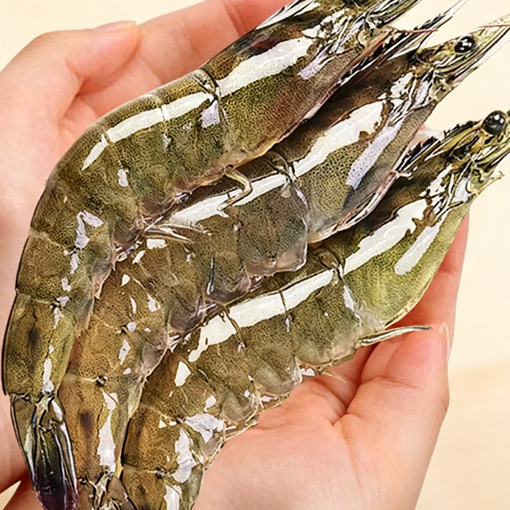 Frozen Raw Large Prawns