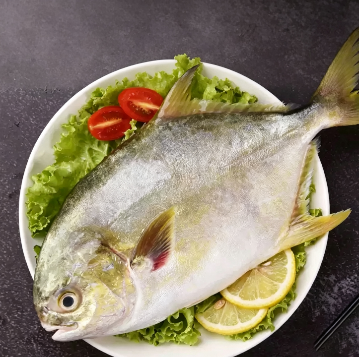 Frozen Golden Pomfret