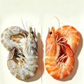 Frozen Whole Large Raw Prawns